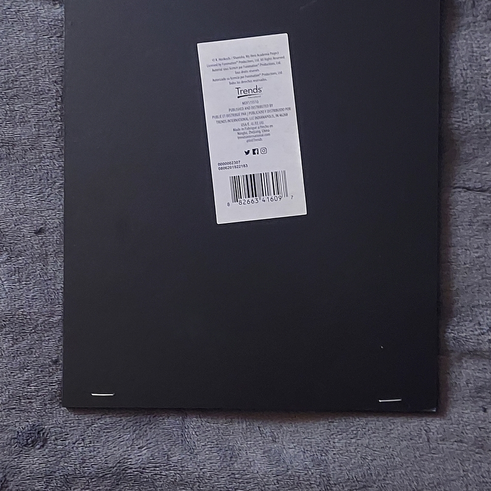 Hanging picture